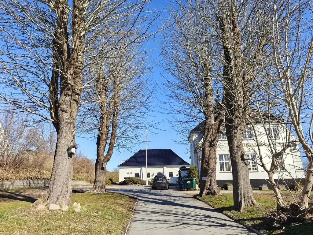 Allé og indkørsel til TaxGården